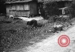 Image of Okinawa people Okinawa Ryukyu Islands, 1945, second 56 stock footage video 65675051493