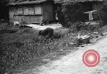 Image of Okinawa people Okinawa Ryukyu Islands, 1945, second 57 stock footage video 65675051493