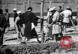 Image of Okinawa people Okinawa Ryukyu Islands, 1945, second 24 stock footage video 65675051494