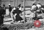 Image of Okinawa people Okinawa Ryukyu Islands, 1945, second 28 stock footage video 65675051494