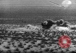 Standbild B-10 Flugzeuge California United States USA, 1936, aus Sekunde 33 historischem Filmmaterial Videoclip 65675051515