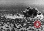 Standbild B-10 Flugzeuge California United States USA, 1936, aus Sekunde 41 historischem Filmmaterial Videoclip 65675051515