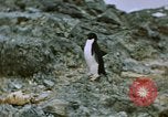Standbild South Pole Expedition Südpol, 1939, aus Sekunde 3 historischem Filmmaterial Videoclip 65675051520