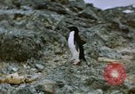 Standbild South Pole Expedition Südpol, 1939, aus Sekunde 7 historischem Filmmaterial Videoclip 65675051520