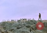 Standbild South Pole Expedition Südpol, 1939, aus Sekunde 15 historischem Filmmaterial Videoclip 65675051520