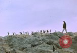 Standbild South Pole Expedition Südpol, 1939, aus Sekunde 16 historischem Filmmaterial Videoclip 65675051520