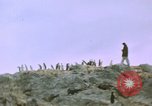 Standbild South Pole Expedition Südpol, 1939, aus Sekunde 17 historischem Filmmaterial Videoclip 65675051520