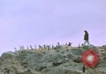 Standbild South Pole Expedition Südpol, 1939, aus Sekunde 18 historischem Filmmaterial Videoclip 65675051520