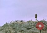Standbild South Pole Expedition Südpol, 1939, aus Sekunde 20 historischem Filmmaterial Videoclip 65675051520