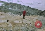 Standbild South Pole Expedition Südpol, 1939, aus Sekunde 24 historischem Filmmaterial Videoclip 65675051520