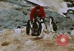 Standbild South Pole Expedition Südpol, 1939, aus Sekunde 39 historischem Filmmaterial Videoclip 65675051520