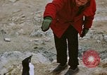 Standbild South Pole Expedition Südpol, 1939, aus Sekunde 49 historischem Filmmaterial Videoclip 65675051520