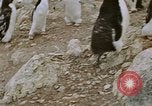 Standbild South Pole Expedition Südpol, 1939, aus Sekunde 53 historischem Filmmaterial Videoclip 65675051520