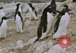 Standbild South Pole Expedition Südpol, 1939, aus Sekunde 54 historischem Filmmaterial Videoclip 65675051520