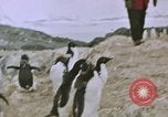 Standbild South Pole Expedition Südpol, 1939, aus Sekunde 55 historischem Filmmaterial Videoclip 65675051520