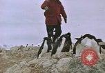 Standbild South Pole Expedition Südpol, 1939, aus Sekunde 56 historischem Filmmaterial Videoclip 65675051520