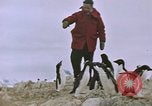 Standbild South Pole Expedition Südpol, 1939, aus Sekunde 57 historischem Filmmaterial Videoclip 65675051520