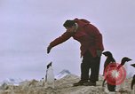 Standbild South Pole Expedition Südpol, 1939, aus Sekunde 60 historischem Filmmaterial Videoclip 65675051520