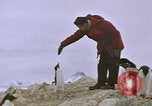 Standbild South Pole Expedition Südpol, 1939, aus Sekunde 61 historischem Filmmaterial Videoclip 65675051520