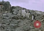 Image South Pole expedition Pôle Sud, 1939, de la seconde 23 séquences d'archives historiques vidéo 65675051521