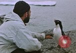 Image South Pole expedition Pôle Sud, 1939, de la seconde 27 séquences d'archives historiques vidéo 65675051521