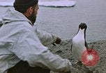 Image South Pole expedition Pôle Sud, 1939, de la seconde 29 séquences d'archives historiques vidéo 65675051521