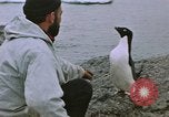 Image South Pole expedition Pôle Sud, 1939, de la seconde 30 séquences d'archives historiques vidéo 65675051521