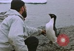 Image South Pole expedition Pôle Sud, 1939, de la seconde 31 séquences d'archives historiques vidéo 65675051521