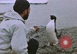 Image South Pole expedition Pôle Sud, 1939, de la seconde 34 séquences d'archives historiques vidéo 65675051521