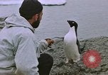 Image South Pole expedition Pôle Sud, 1939, de la seconde 35 séquences d'archives historiques vidéo 65675051521