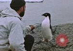 Image South Pole expedition Pôle Sud, 1939, de la seconde 36 séquences d'archives historiques vidéo 65675051521