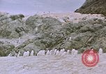 Image South Pole expedition Pôle Sud, 1939, de la seconde 43 séquences d'archives historiques vidéo 65675051521