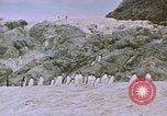 Image South Pole expedition Pôle Sud, 1939, de la seconde 44 séquences d'archives historiques vidéo 65675051521