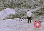 Image South Pole expedition Pôle Sud, 1939, de la seconde 48 séquences d'archives historiques vidéo 65675051521