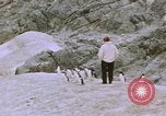 Image South Pole expedition Pôle Sud, 1939, de la seconde 50 séquences d'archives historiques vidéo 65675051521