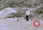 Image South Pole expedition Pôle Sud, 1939, de la seconde 51 séquences d'archives historiques vidéo 65675051521