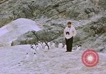 Image South Pole expedition Pôle Sud, 1939, de la seconde 53 séquences d'archives historiques vidéo 65675051521