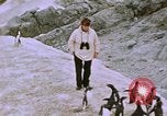Image South Pole expedition Pôle Sud, 1939, de la seconde 58 séquences d'archives historiques vidéo 65675051521