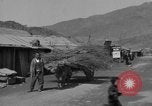 Image of Red Cross personnel Korea, 1957, second 6 stock footage video 65675051527