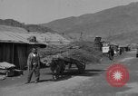 Image of Red Cross personnel Korea, 1957, second 7 stock footage video 65675051527