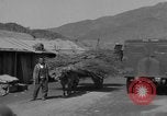 Image of Red Cross personnel Korea, 1957, second 13 stock footage video 65675051527