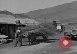 Image of Red Cross personnel Korea, 1957, second 18 stock footage video 65675051527