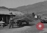 Image of Red Cross personnel Korea, 1957, second 19 stock footage video 65675051527