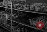 Image of Korean man Korea, 1957, second 60 stock footage video 65675051530
