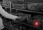 Image of Korean man Korea, 1957, second 61 stock footage video 65675051530