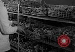 Image of Korean man Korea, 1957, second 62 stock footage video 65675051530