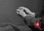 Immagine di Preparazione di pasta dadi Uijongbu Corea del Sud, 1954, secondo 31 filmato di repertorio 65675051545