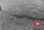 Standbild USA Soldaten Uijongbu Südkorea, 1954, aus Sekunde 20 historischem Filmmaterial Videoclip 65675051548