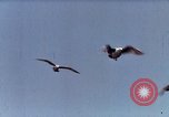Image of Advertisement for smooth ride of 1939 Ford automobiles United States USA, 1939, second 8 stock footage video 65675051551