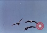 Image of Advertisement for smooth ride of 1939 Ford automobiles United States USA, 1939, second 9 stock footage video 65675051551